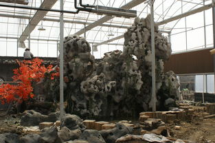 假樹(shù)工程設(shè)計(jì),江蘇假山假樹(shù)工程哪家名聲好